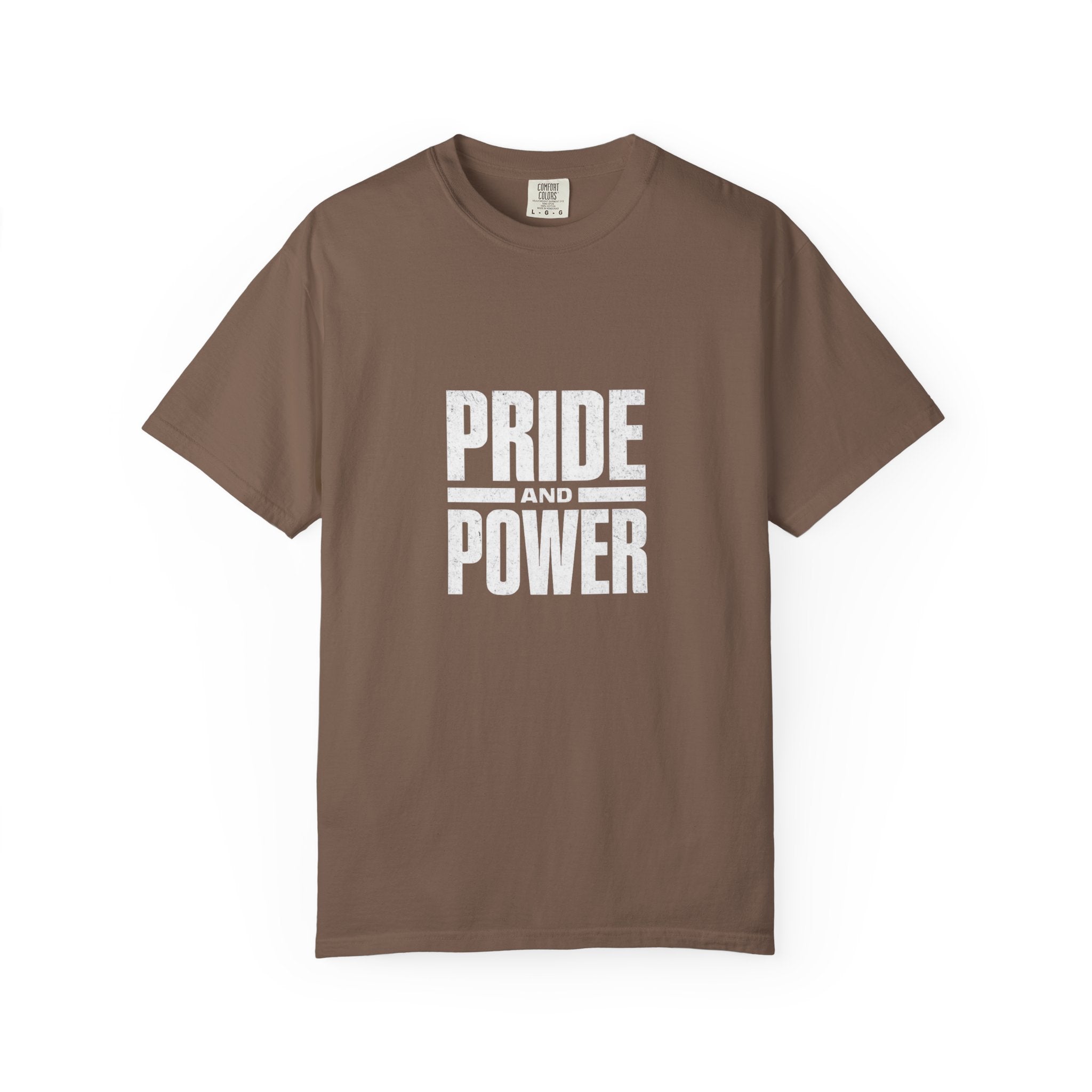 Pride Power LGBTQ+ T-Shirt