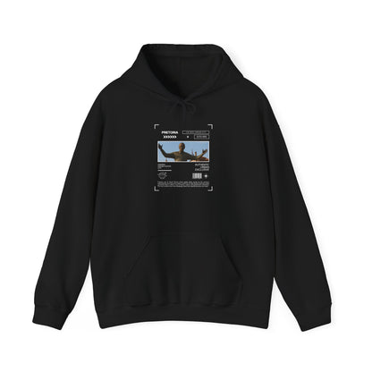 Vintage Graphic Hooded Sweatshirt, Cozy Unisex Hoodie, Streetwear Style, Perfect Gift for Him or Her, Casual Wear