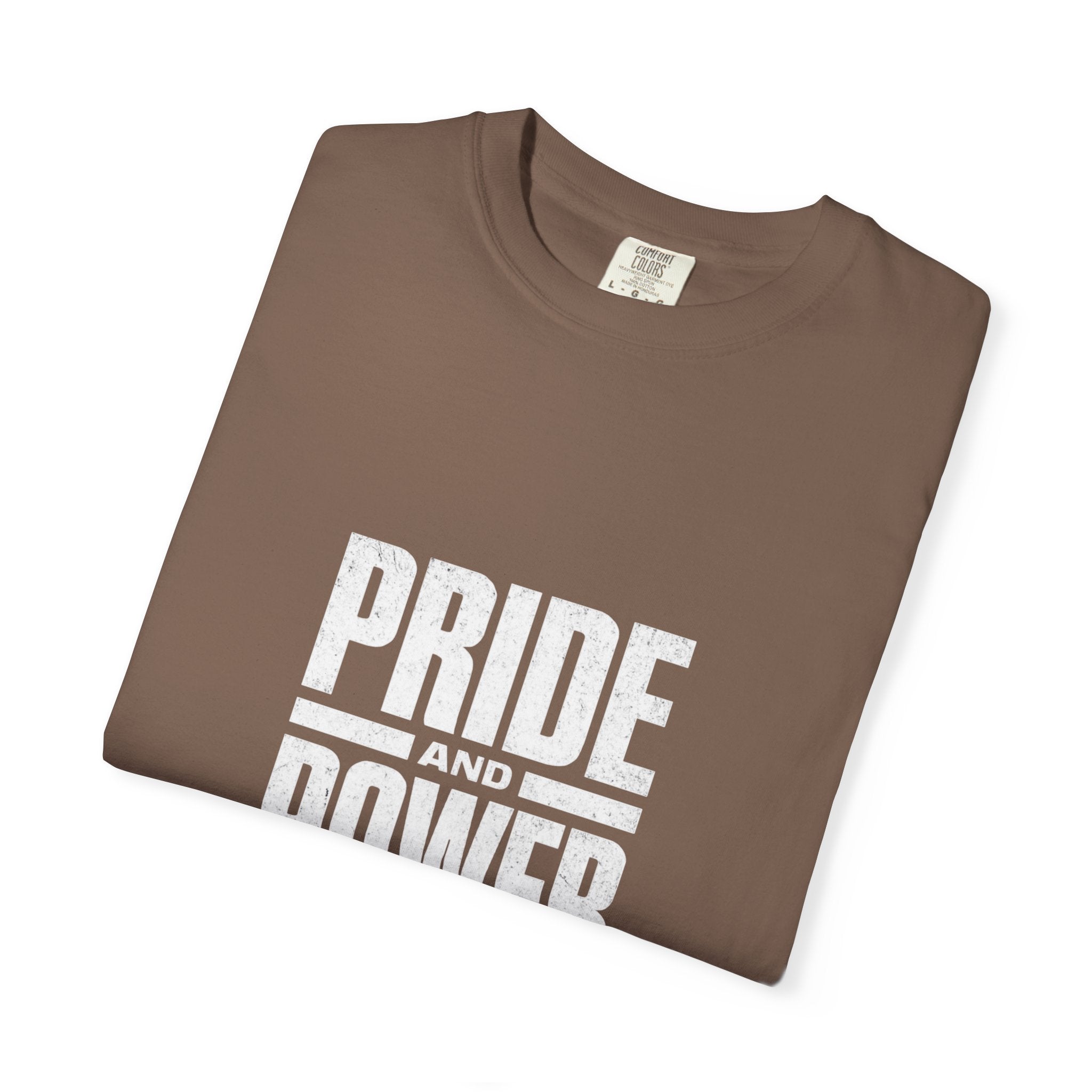 Pride Power LGBTQ+ T-Shirt